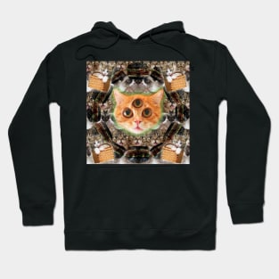 third eye ascended feline master Hoodie